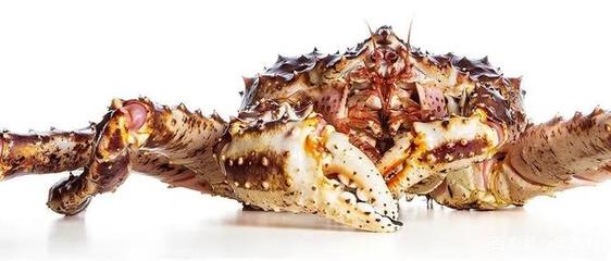 俄羅斯擴(kuò)大對華海鮮出口 比目魚與牡丹蝦的新機(jī)遇